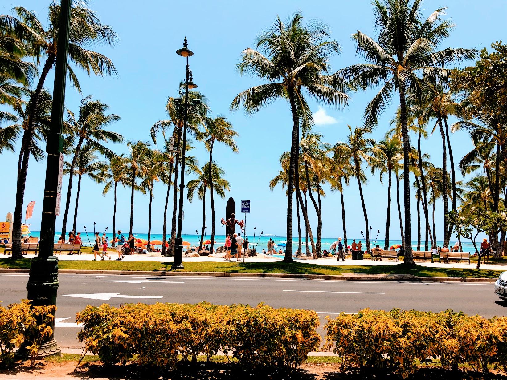 Work from Hawaii